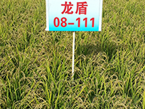 ����08-111-ˮ���N��-ɏ�R�r(n��ng)�I(y��)