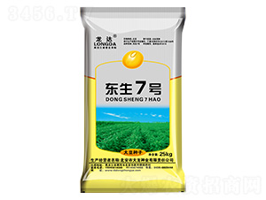 東生7號-龍達(dá)-大龍種業(yè)