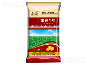龍達1號-龍達-大龍種業(yè)