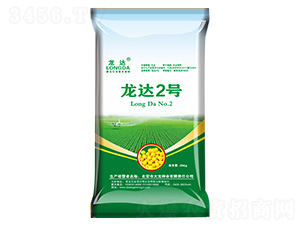 龍達(dá)2號(hào)-龍達(dá)-大龍種業(yè)