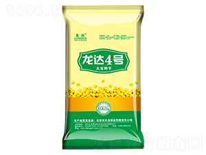 龍達(dá)4號-龍達(dá)-大龍種業(yè)