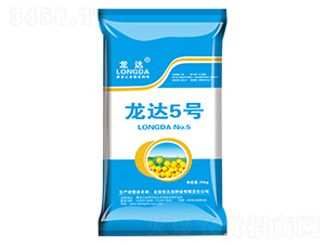 龍達5號-龍達-大龍種業(yè)