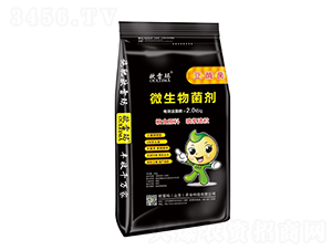 2�|�����ø��΢�������-�W�׬�