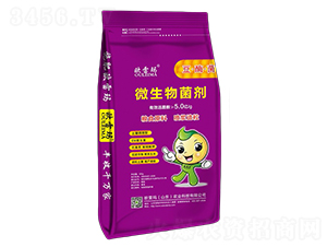 5�|���΢�������-�W�׬�