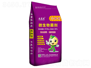 60%΢�������-�W�׬�