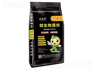 2�|΢�������-�W�׬�