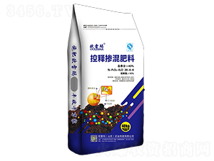 ��ጓ������28-6-6-�W�׬�