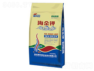 �����-��(��i)��̩