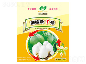 蘇抗雜1號-綠億種業(yè)