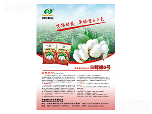 日輝棉6號-綠億種業(yè)