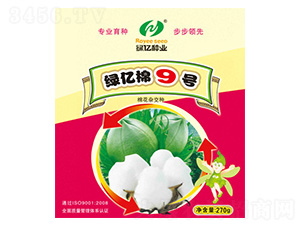 �G�|��9̖(h��o)-�G�|�N�I(y��)