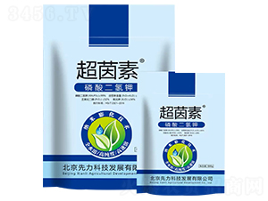 ��������-������-��j����