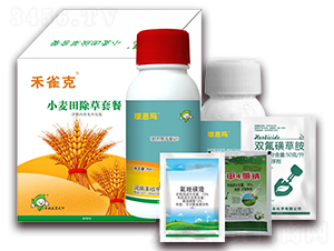 С��������ײ�-��ȸ��-�S�՘�(l��)