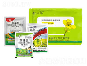 240��ÿ��ϩ��ͪ+500��ÿ���ݳ��`+30%���ȡ�������-������-�S�՘�(l��)