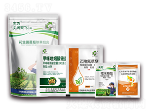 �����������ݽM��-����p�w��̖(h��o)-�S�՘�