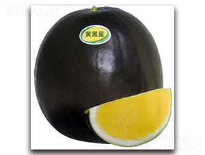 �S��������-���ϷN��-���\(ch��ng)�N��