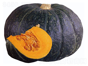 ����-�ϹϷN��-���\�N��