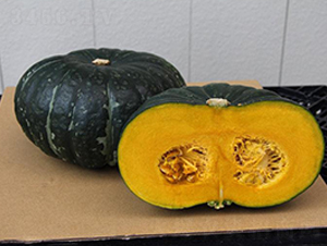 �\��-�ϹϷN��-���\�N��