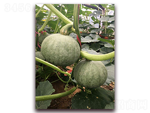 ��ؐ-�ϹϷN��-���\�N��