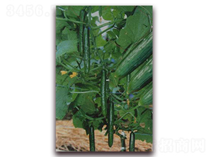 С���S��-�S�ϷN��-���\(ch��ng)�N��