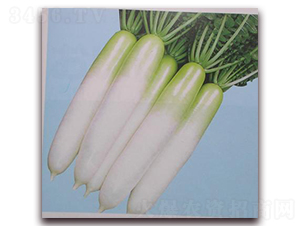 ���x�}��-�}���N��-���\�N��