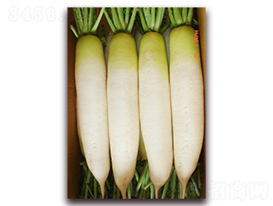 �����}��-�}���N��-���\�N��