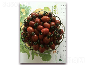 黑小子-番茄種子-禾誠(chéng)種苗