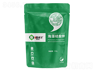 ��������-��СѾ-�_������