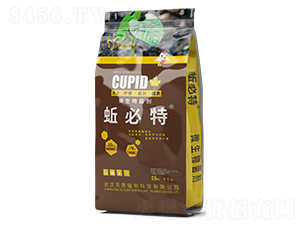 ΢�������-�Ǳ���-���ֲ��