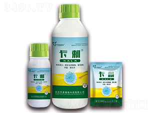 ����-���ֲ��