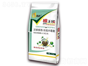 淡紫紫孢·長枝木霉菌-根無線-浩達生物