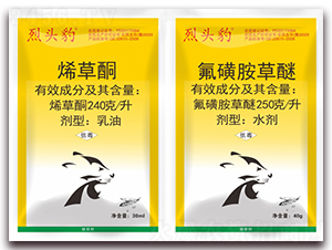 240��ÿ��ϩ��ͪ+250��ÿ������-���^��-�S�՘�(l��)