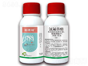 20%�������-�����-�S�՘�