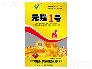 Ԫ¡1̖�N��-Ԫ¡�N�I(y��)