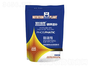 ������a(b��)-���_(d��)