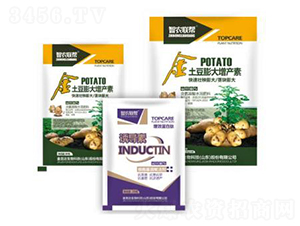 ����������a(ch��n)��-���_(d��)