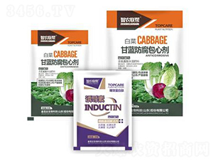 ���{(l��n)�������Ą�-���_(d��)