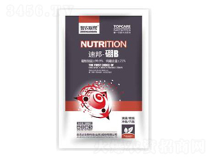 �ٰ�-��B(y��ng)-���_(d��)