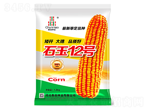 ʯ��12̖-�����N�I(y��)