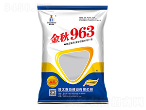 ����963-�����N�I(y��)