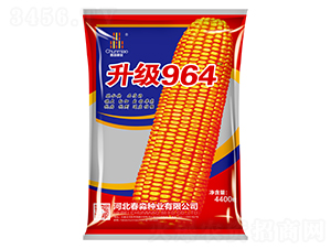 ����964-�����N�I(y��)