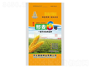 ����6̖(h��o)-�����N�I(y��)