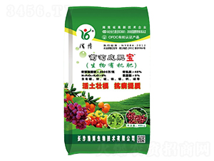 ���ѵ׷ʌ�-�Ʋ�����