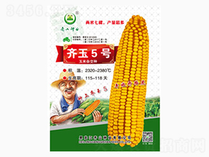 �R��5̖-�Rɽ�N�I(y��)