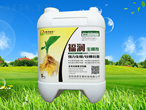 ������-����(r��n)-��(r��n)������