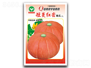 �����t��-�ϹϷN��-ȪԴ