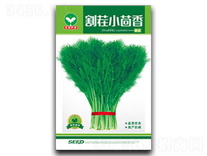 ���С����-С����N��-ȪԴ