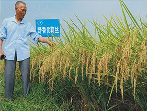 Ұ�マ(y��u)��z-�G���N�I(y��)