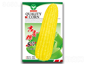 ����Ŵ8̖-���׷N��-ȪԴ