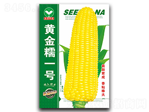 �S��Ŵһ̖-���׷N��-ȪԴ